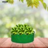 Top #1 15×6 Inch Vegetable Grow Bags – Space-Saving, High-Yield, and Smart Gardening!