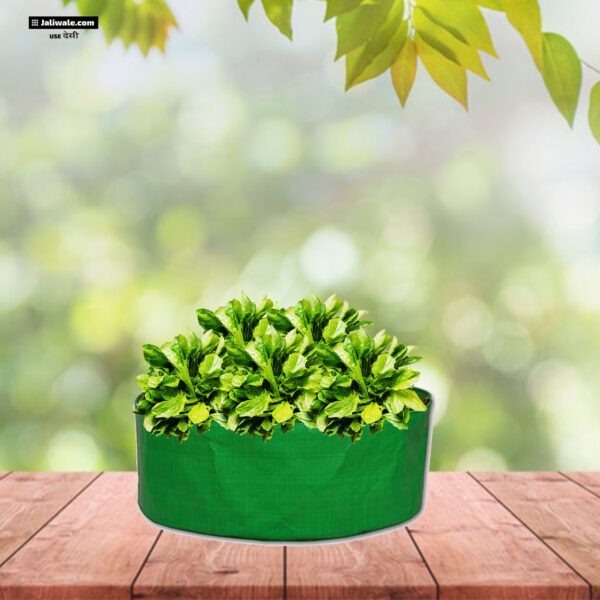 Top #1 15×6 Inch Vegetable Grow Bags – Space-Saving, High-Yield, and Smart Gardening!