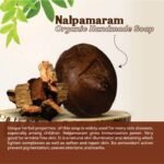 [Top Ayurvedic Pick 2025] Nalpamaram Soap – [Healing, Brightening, Skin-Purifying]