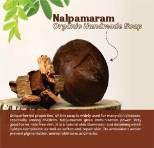 Nalpamaram Ayurvedic Soap – Skin Healing and Brightening Herbal Cleanser