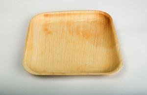 8 inch square palm leaf plate