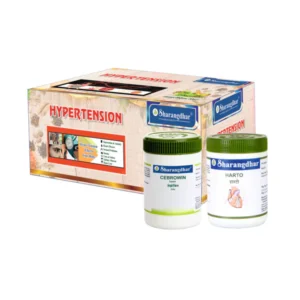 Blood Pressure Support Supplement