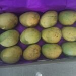 [Premium Quality] Dharwad Apus Mango – [5 Kg Alphanso]  Fiberless & Naturally Sweet