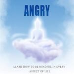 Before Buddha Got Angry [7 Simple Mindfulness Shifts for a Calmer, Happier Life]