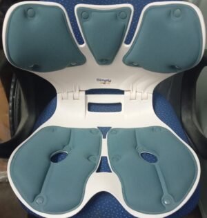 Petal Shaped Lumbar Support Cushion